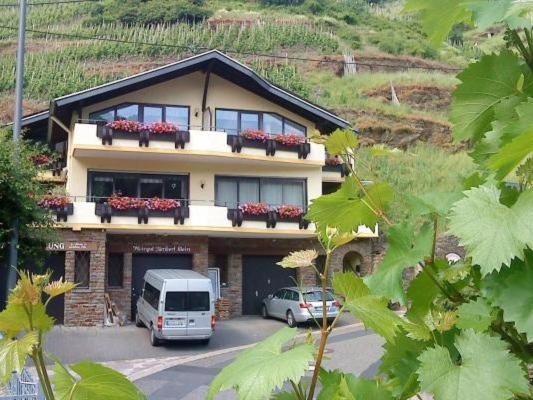 Bed and Breakfast Ferienweingut Stein Valwig Esterno foto